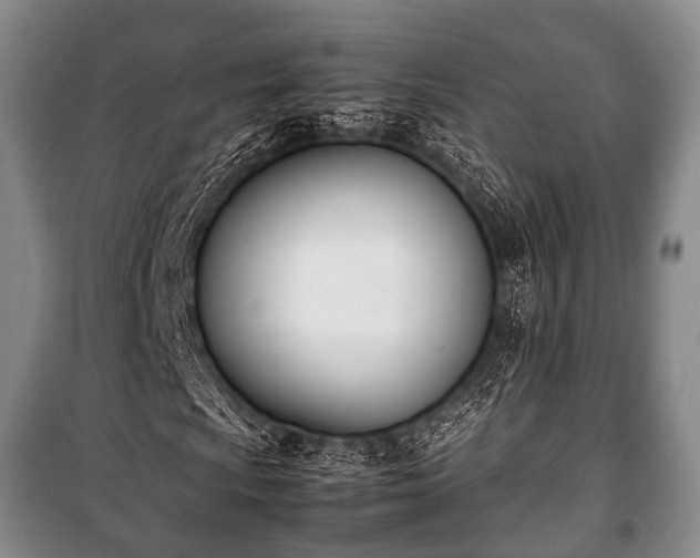 X0000100771009200806261538