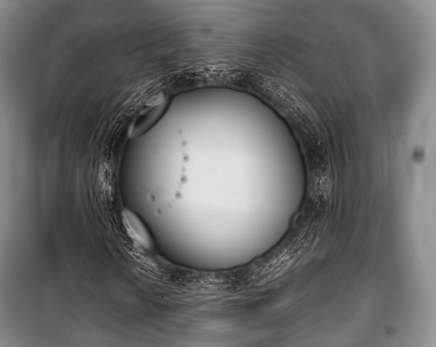 X0000100771010200806261538