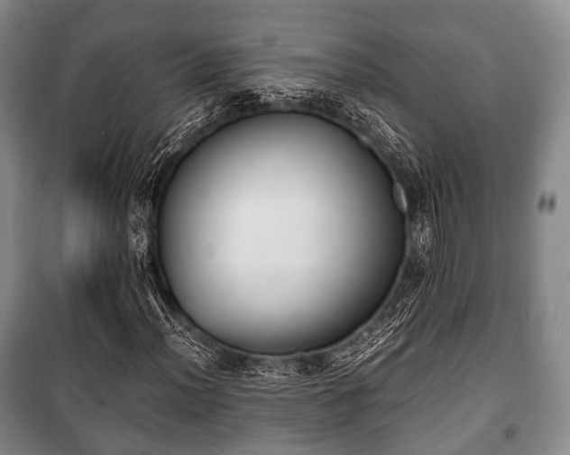 X0000100771012200806261538