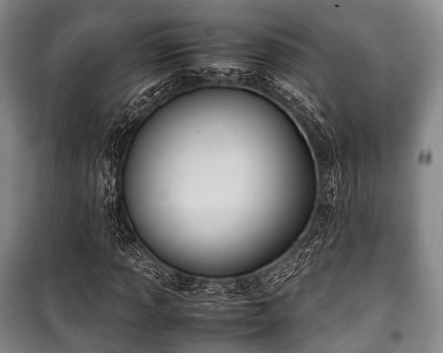 X0000100771013200806261538
