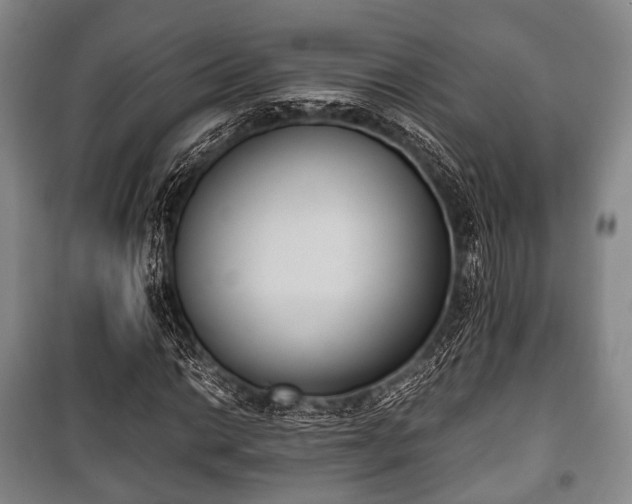 X0000100771014200806261538