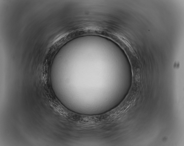 X0000100771015200806261538