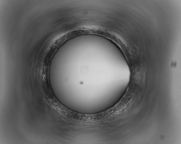 X0000100771016200806261538
