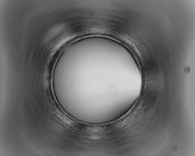 X0000100771019200806261538
