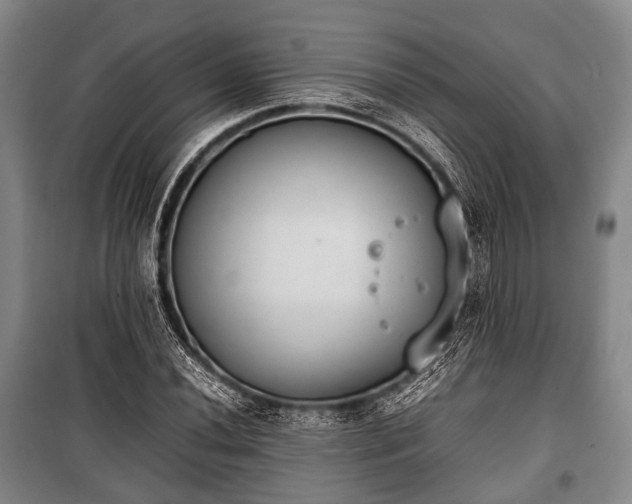 X0000100771020200806261538