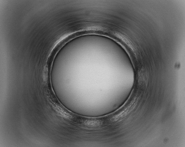 X0000100771021200806261538