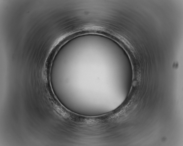 X0000100771022200806261538