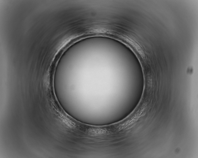 X0000100771023200806261538