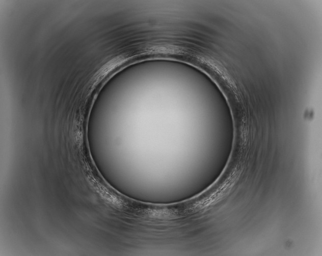 X0000100771025200806261538