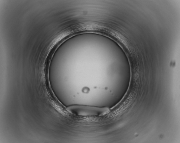 X0000100771026200806261538