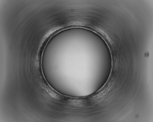 X0000100771027200806261538