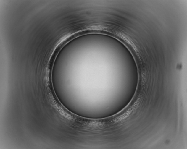 X0000100771029200806261538