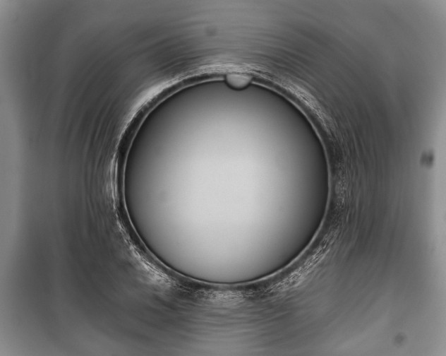 X0000100771030200806261538
