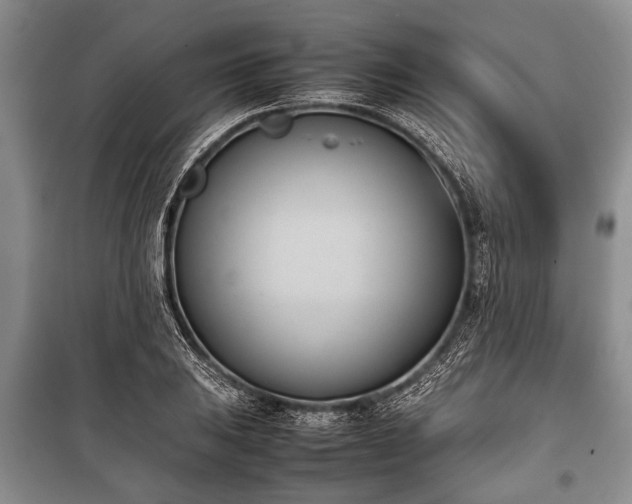 X0000100771031200806261538