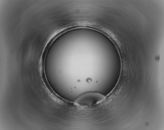 X0000100771032200806261538