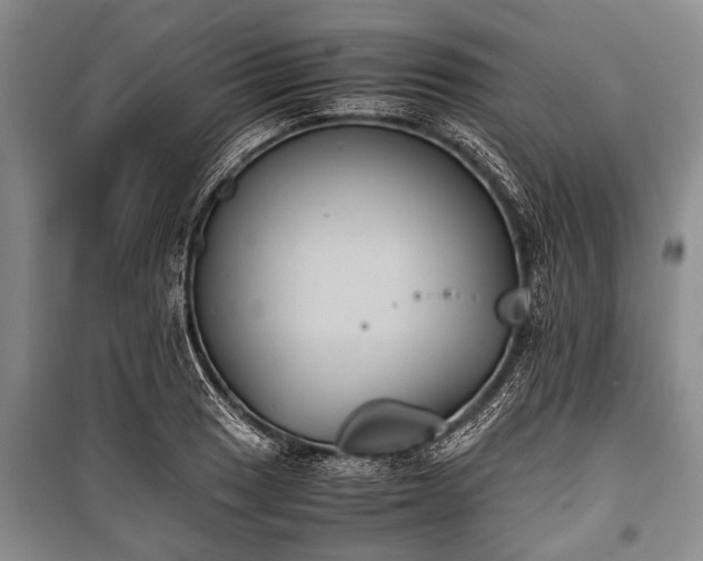 X0000100771033200806261538