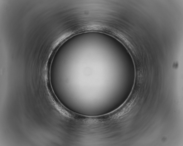 X0000100771034200806261538