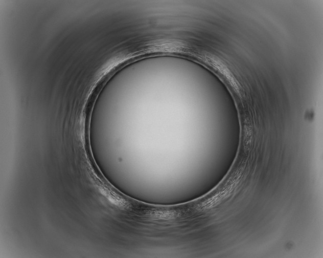 X0000100771035200806261538
