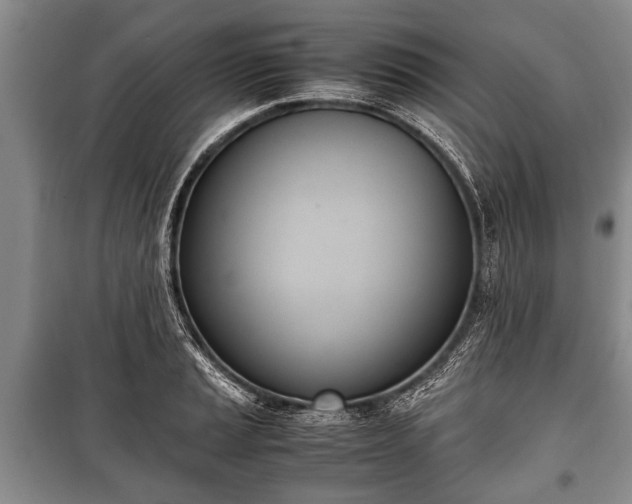 X0000100771037200806261538