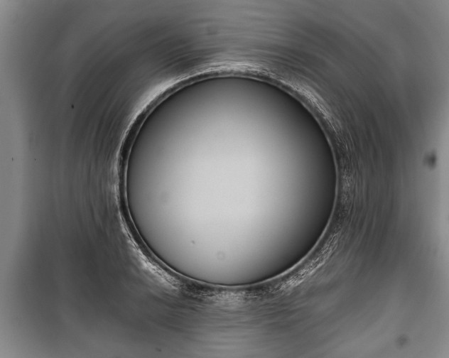 X0000100771038200806261538