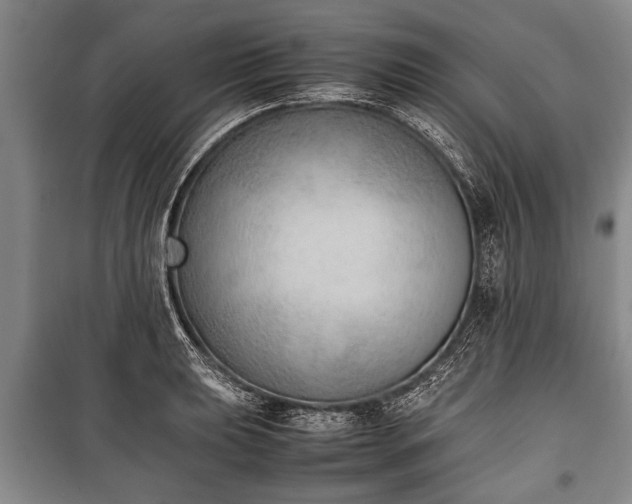 X0000100771039200806261538