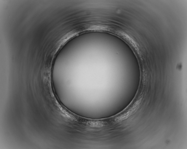 X0000100771041200806261538