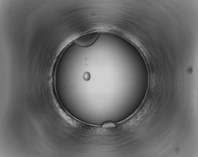 X0000100771042200806261538