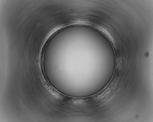 X0000100771043200806261539