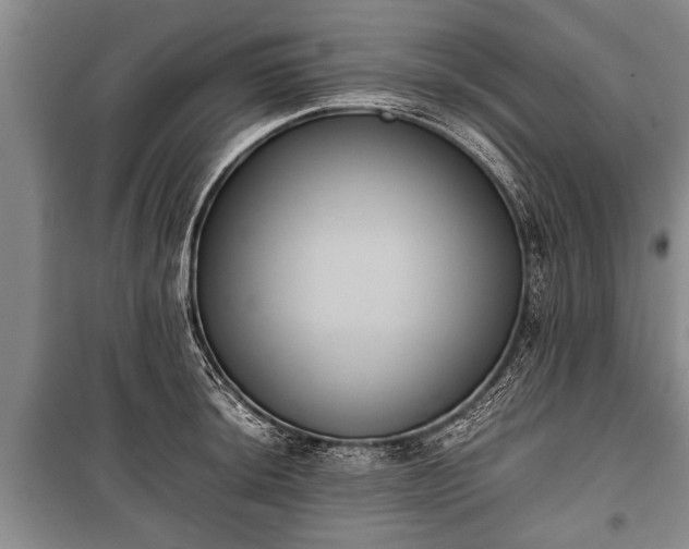 X0000100771044200806261539