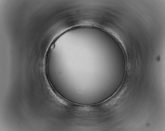 X0000100771045200806261539