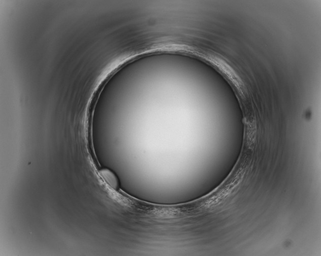 X0000100771046200806261539