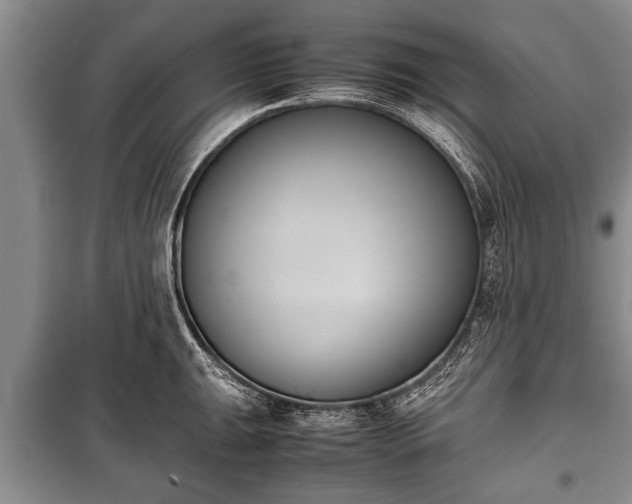 X0000100771047200806261539