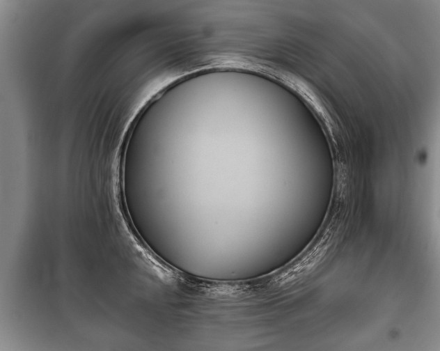 X0000100771048200806261539