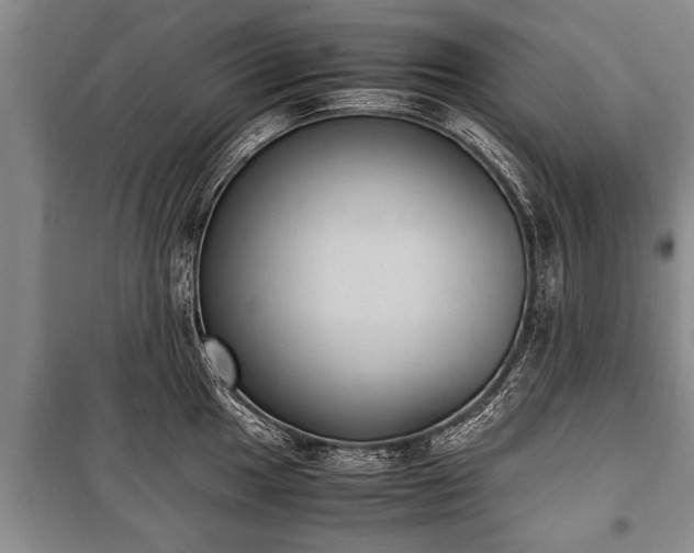 X0000100771049200806261539