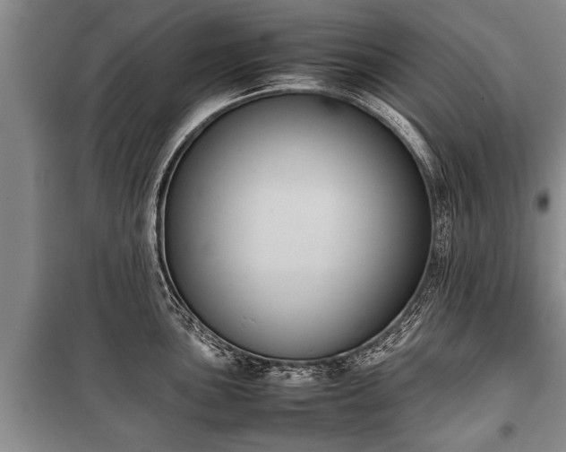 X0000100771051200806261539