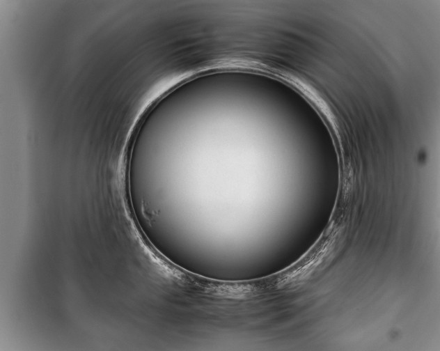 X0000100771053200806261539