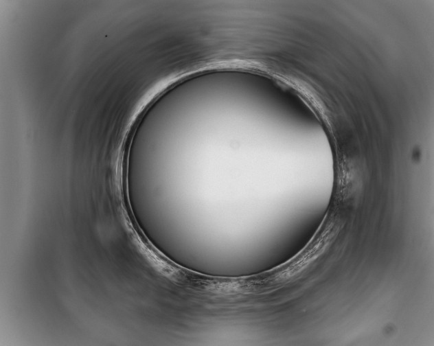 X0000100771054200806261539