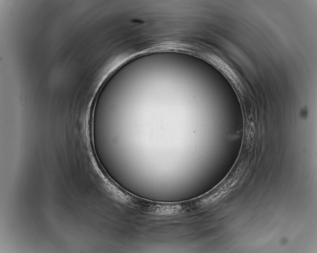X0000100771055200806261539