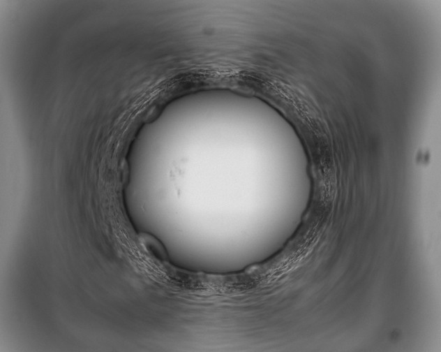 X0000100771057200806261538