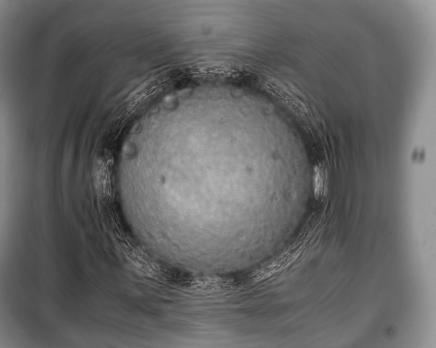 X0000100771059200806261538