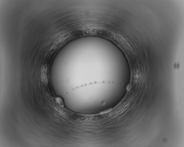 X0000100771060200806261538