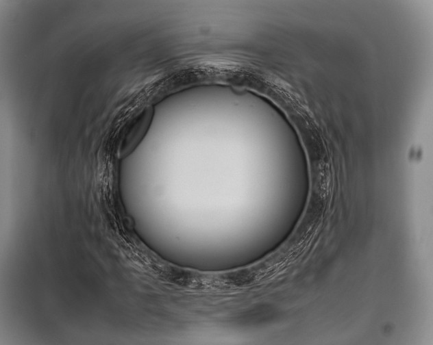 X0000100771061200806261538