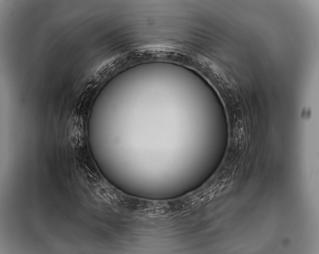 X0000100771062200806261538