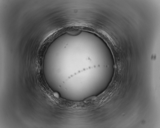 X0000100771064200806261538