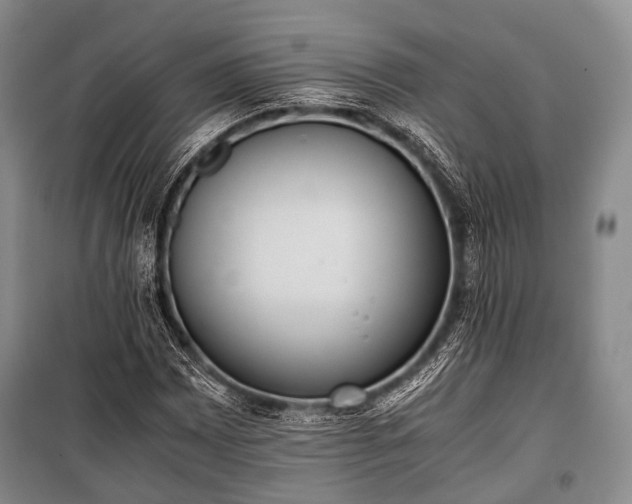 X0000100771065200806261538