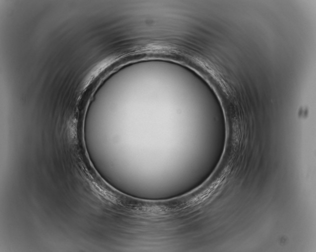 X0000100771066200806261538