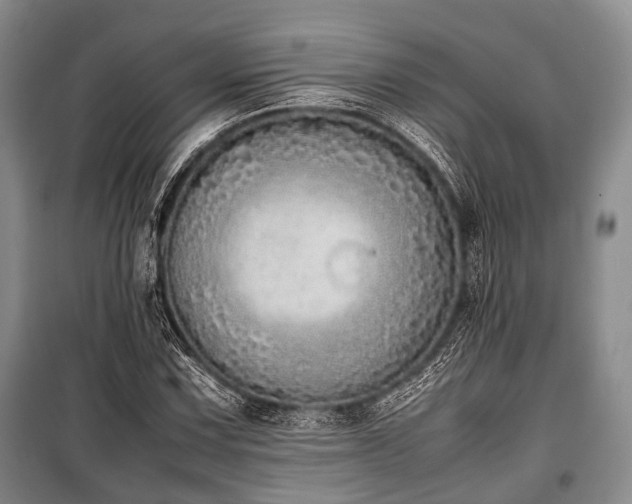 X0000100771067200806261538
