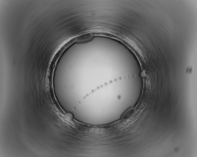 X0000100771068200806261538