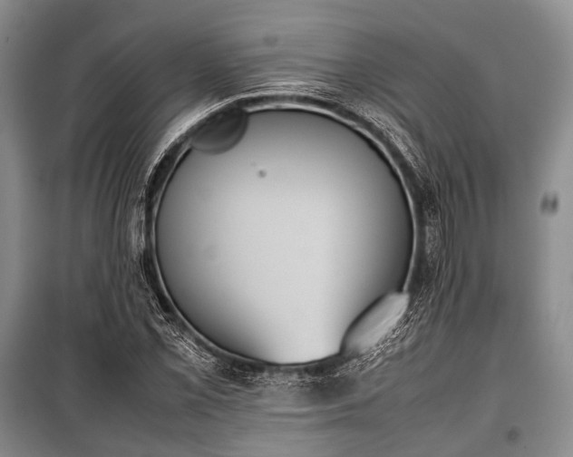 X0000100771069200806261538
