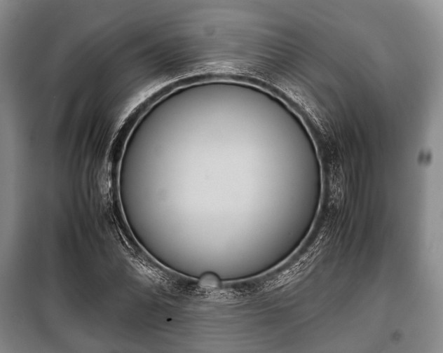 X0000100771070200806261538